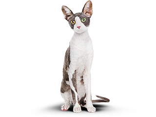 Сравниваем результаты Было и  Стало